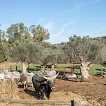 Farm stay La Casa Dei Mandorli