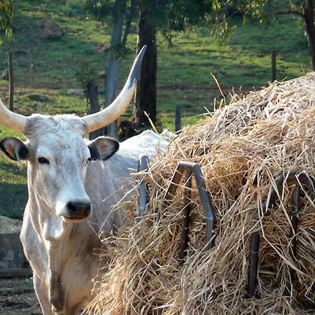 La Casa Dei Mandorli