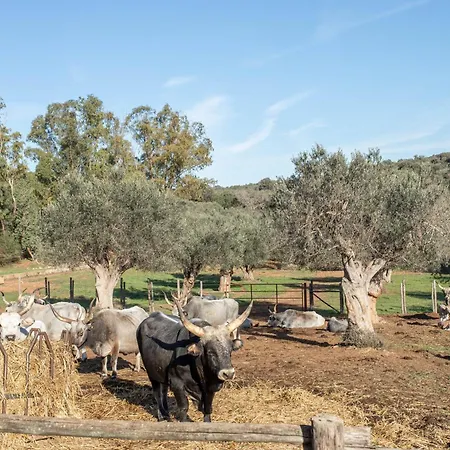 Farma La Casa Dei Mandorli *